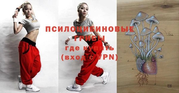 герыч Лиски